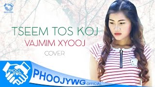 VAJMIM XYOOJ - Tseem Tos Koj (Cover)