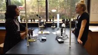 Dr. mueller-hill Vernier probe measurement of CO2 and O2