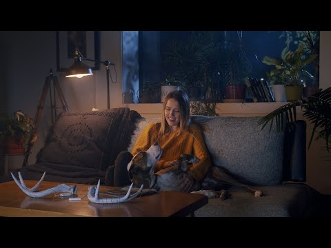 How to Light a Night Scene | Cinematic Lighting