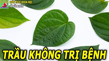 Lá trầu không có công dụng gì?