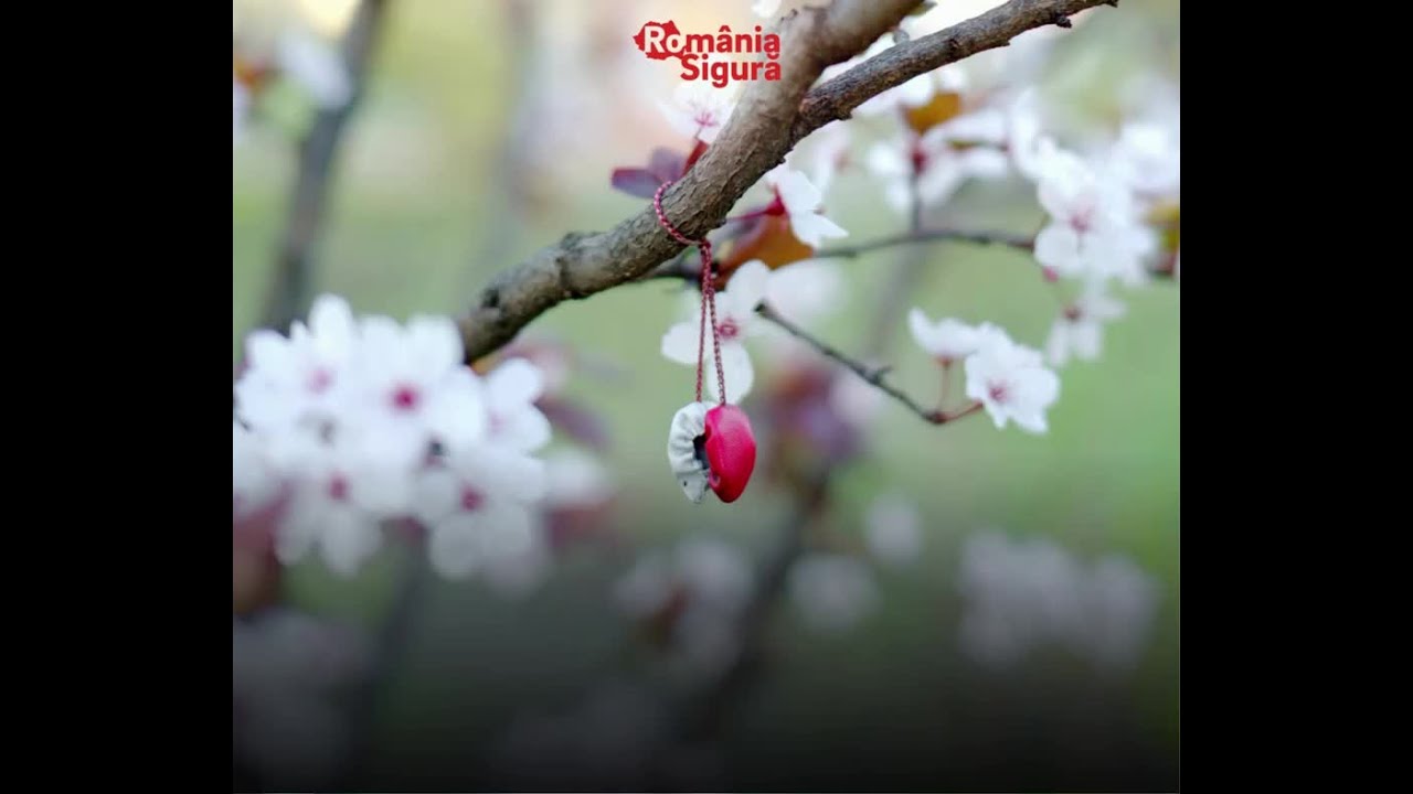🌸🔴⚪ 1 Martie – un simbol al reînnoirii și al protecției

1 Martie marchează începutul calendaristi