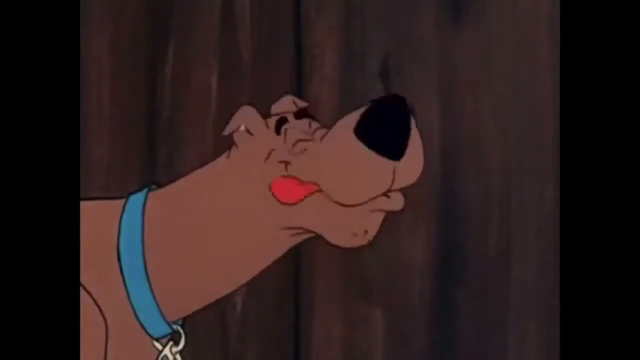 Shaggy Snacks Instrumental