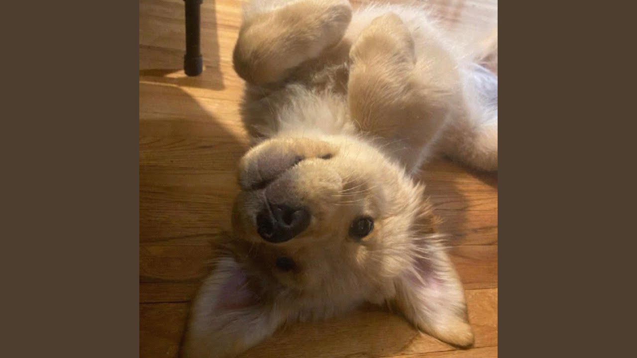 Watch validation (feat. rans0m) on YouTube Watch validation (feat. rans0m) on YouTube