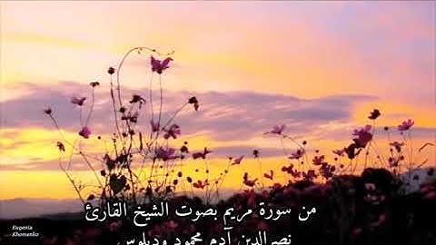 من سورة مريم بصوت الشيخ القارئ نصرالدين آدم محمود ودبلوس