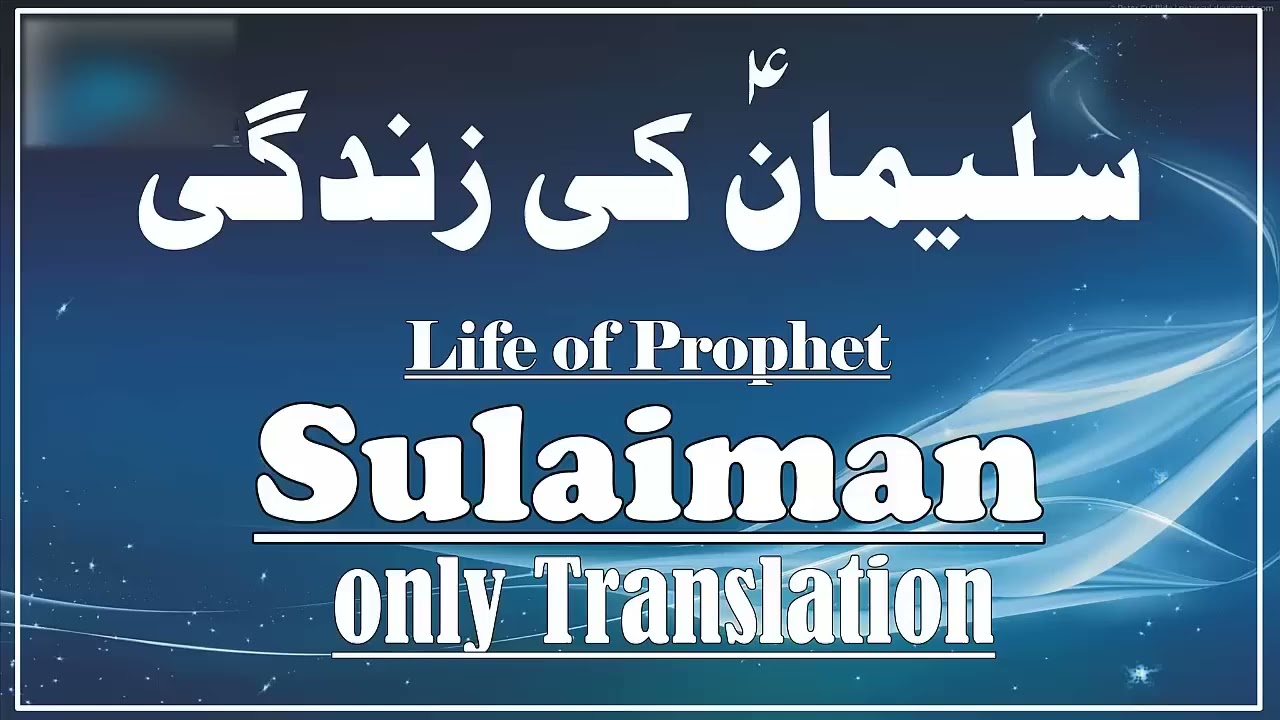 Hazrat suleman A.s story in urdu|life of prophet suleman As |qisas ul anbia|