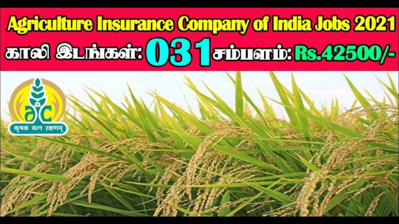 Agriculture Insurance Company of India Limited 2021 31 Management
