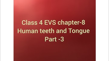 Class 4 EVS CHAPTER-8 || LEARNWELL ||[part-3]