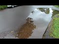 Unclogging a blocked drain after heavy rain