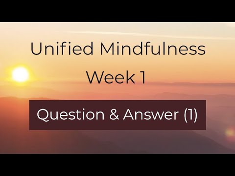 Unified Mindfulness (Beginner's Course)