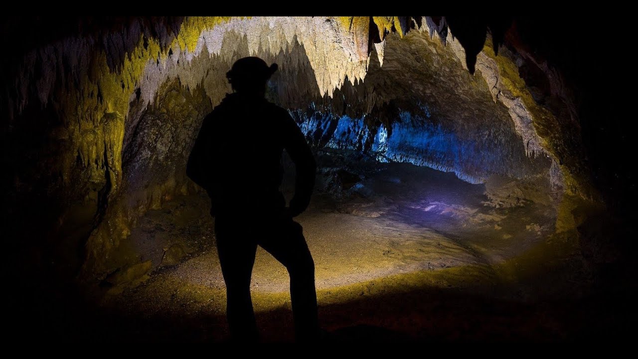 5.5 Milyon Yıldır Yeraltında Yaşayan Canlılar | Movile Mağarası