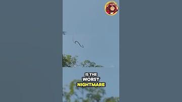 The Flying Snake: A Nightmare for Snake Haters! 🐍😱✨