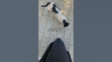 كـل الذين أتجهوا  إلى الله بأجنحة مكسورة عادوا يحلقون🥺🤎. #دعواتكم