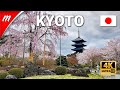 Toji temple and antique market  kyoto travel guide