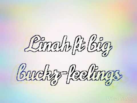 Linah ft big bucks-feelings
