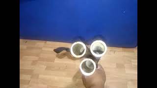 DIY 3 shots 12 guage SHOTGUN ! SUMPAK screenshot 4