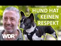 Hundebegegnungen entspannt gestalten | Hunde verstehen (13) | Tierratgeber | WDR