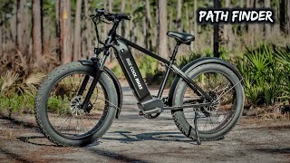 HEAVY DUTY ALL-TERRAIN E-BIKE | BEE PATHFINDER