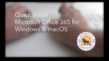 Install Microsoft Office 365 on Windows and macOS