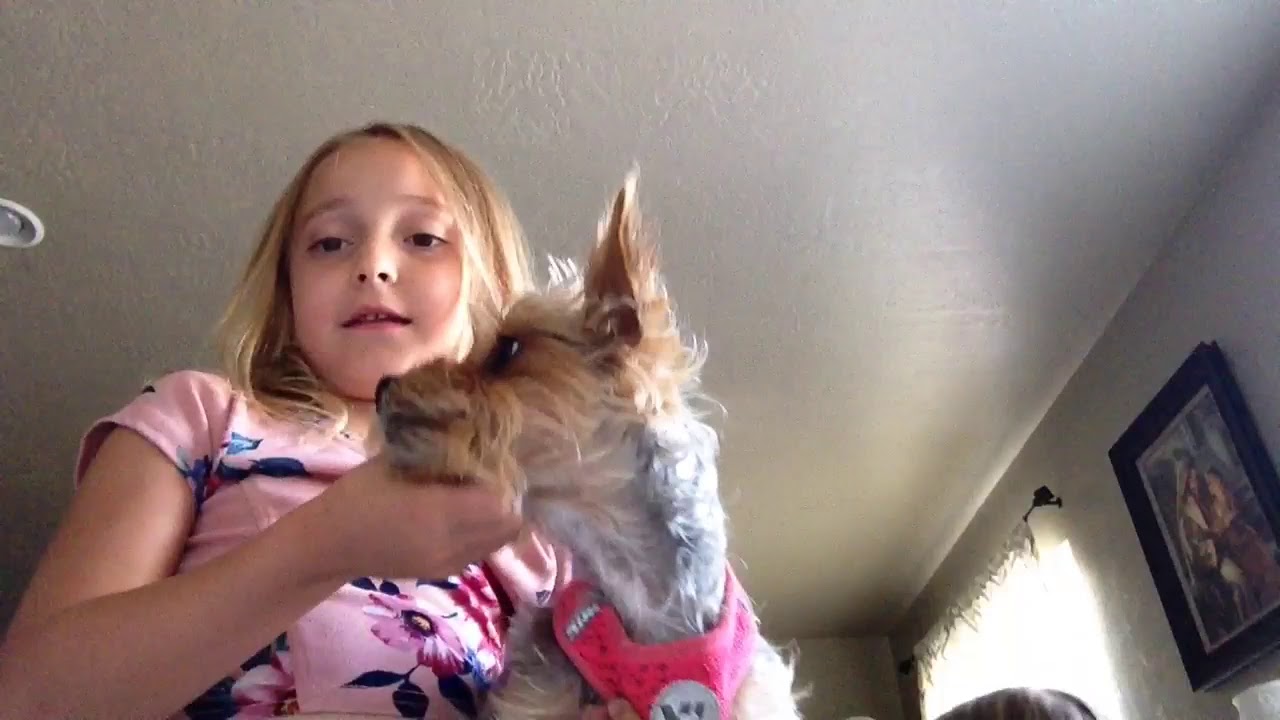 Kaylee's channel - YouTube