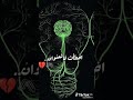 فاقد العقل يسمي مجنون اما فاقد القلب ماذا يسمي