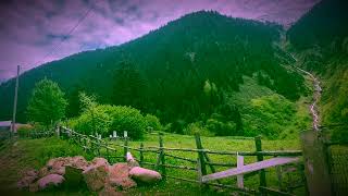 Tenhakısa Filmyüksek Kalite İzleyiniznuri Bilge Ceylan Esintisi