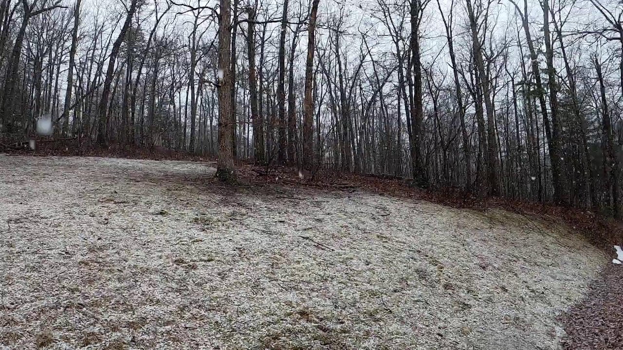 Live - Snowfalling in the mountains