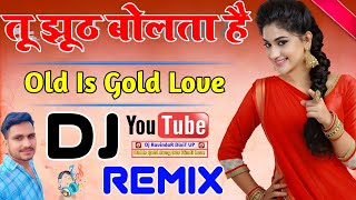Tu Jhooth Bol Ta Hai - Dj Remix | 90s Hits Purane | Tune Aisa Na Jane Kitno Se Kaha Hoga