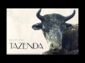 Tazenda - Bandidos