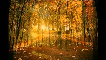 Reinhold Gliere  - String quartet N2 G-minor, Op. 20 IIm. RUSQUARTET