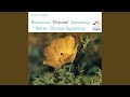 Miniature de la vidéo de la chanson Symphony No. 6 In F Major, Op. 68 'Pastoral': Iii. Lustiges Zusammensein Der Landleute: Allegro