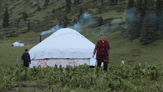 Download Lagu Kehidupan nomaden di lembah - lembah yang indah - Kyrgyzstan MP3