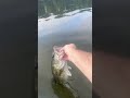 #bassfishing the coosa river in Alabama. #outdoors #hunting #fishing