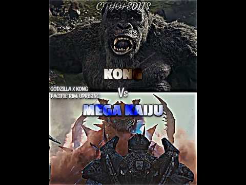 Kong vs Mega