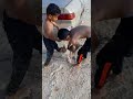 صيف يعني شورت وقميص صيف يعني شورت وقميص