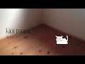 【VCDR-0006】Virtual Cat / Northroom