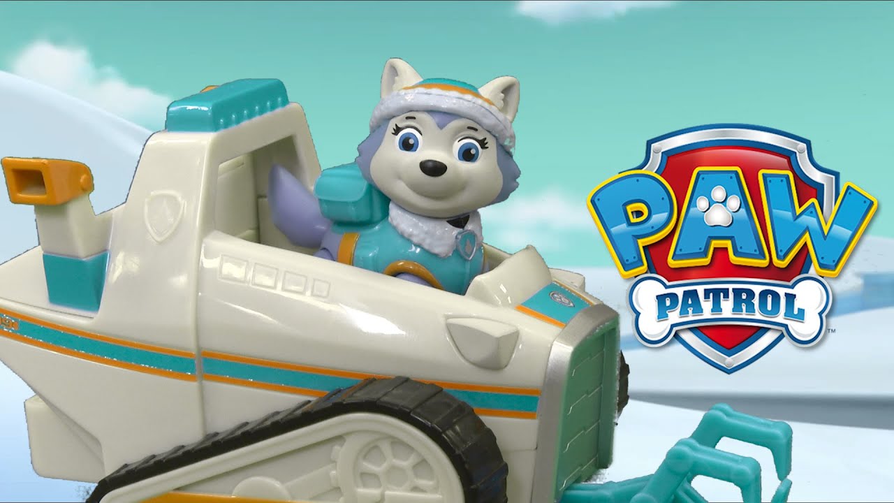 everest paw patrol auto