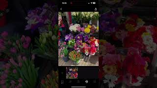 How I edit my photos on VSCO