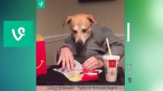 Vines that no one survived laughing#Funny# Animal#Vines#compilation 2 II VinesEra