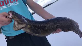 Fishing for giant cusk / Burbot Maine 3 am New Years