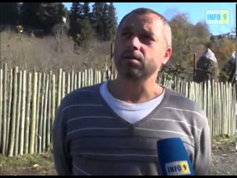 მუქარა სისტემატურად ხორციელდება