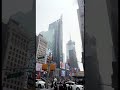 وليف قريب نيويورك