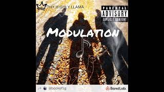Modulation X Dumwayy1k