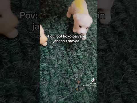 Pari scht videoo tähä välii😀(A)