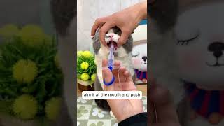 Turn A Dreaded Task Into A Smooth Routinewith This Pet Silicone Pill Feeder 