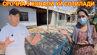 картинка: СРОЧНО АРЗОН 5 ХОНАЛИ УЙ СОТИЛАДИ  АПЕРАЦИЯГА ПУЛ ЗАРУЛ . 