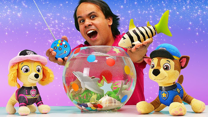 Quem vive no fundo do mar? História infantil com Patrulha Canina. Paw Patrol em português