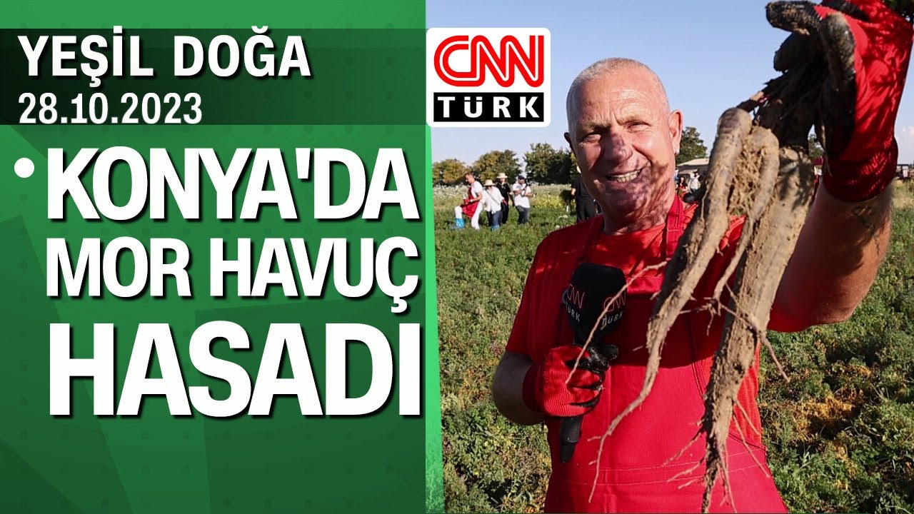 Konya'da mor havuç hasadı - Yeşil Doğa 28.10.2023 Cumartesi