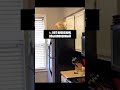 😼КИЕВСКИЙ КОТ ПРЯЧЕТСЯ ВО ВРЕМЯ ВОЗДУШНОЙ ТРЕВОГИ
