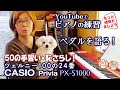 CASIO Privia PX-S1000のペダルの音、聞いてね！〜ブルグミュラーとダンパーペダルについて語る〜 と【大人のピアノ練習】ツェルニー100番24番の練習