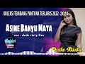 Dede Risty Live | Asine Banyu Mata | Tarling Terbaru 2022-2023